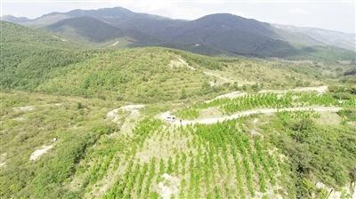 绿色矿山