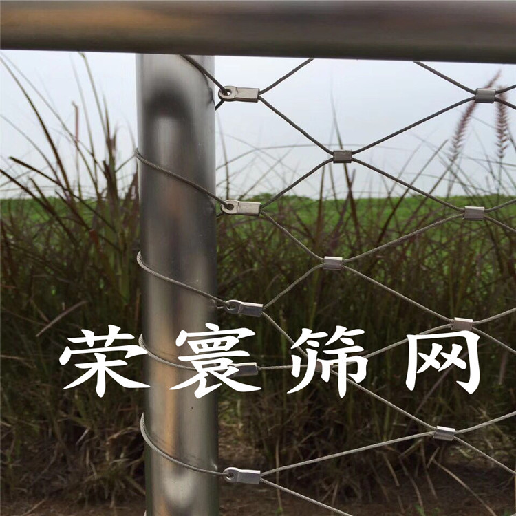 QQ图片20180801094311_副本