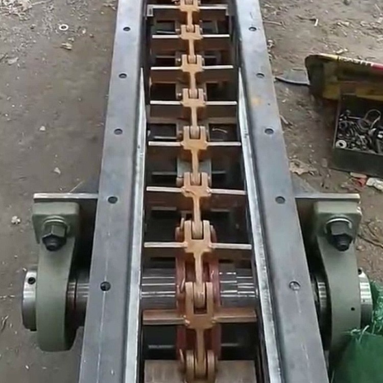 36000_1647475664_33049.jpg