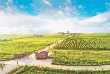 山东省莱西市院上镇废弃矿山治理后建成的九顶庄园，绿色满山坡。