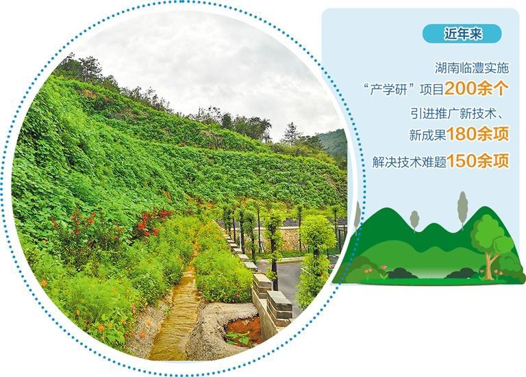 湖南临澧南方新材料科技有限公司通过地形重塑、土壤重构、植被重建等技术手段,在石头山上种出了花花草草。