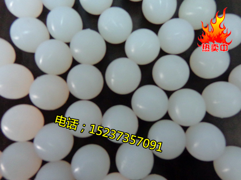 DSC01808_副本.jpg