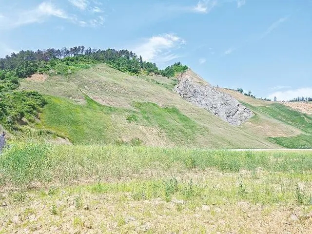 生态修复治理后的朝北沟废弃矿山片区。